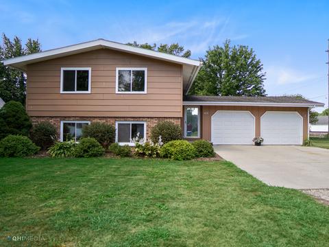 409 8th St, Mazon, IL 60444 photo 1