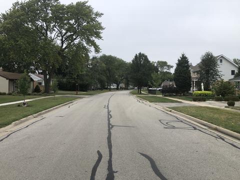 2534 Rusty Dr, Des Plaines, IL 60018 photo 33