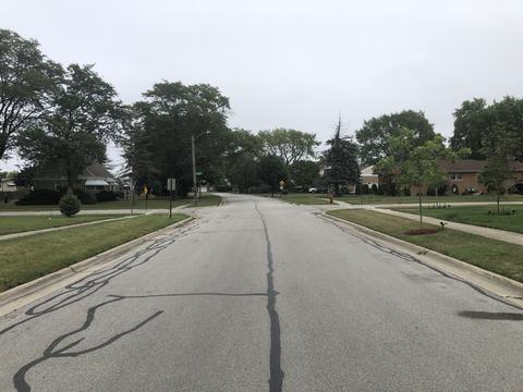 2534 Rusty Dr, Des Plaines, IL 60018 photo 32