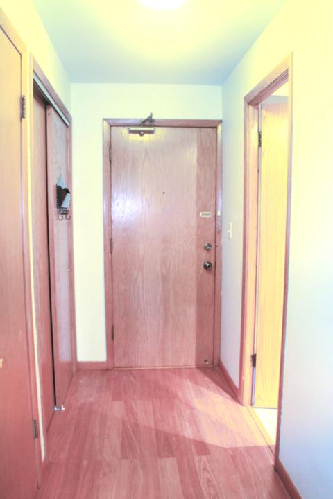1283 E Washington St #C, Des Plaines, IL 60016 photo 18