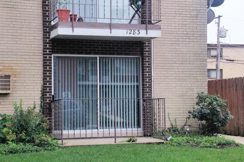 1283 E Washington St #C, Des Plaines, IL 60016 photo 25