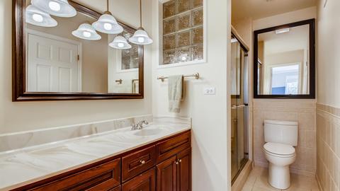 205 E Thompson Dr, Wheaton, IL 60189 photo 25