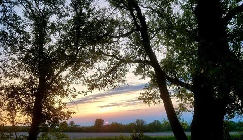 7500 S Solon Rd S, Spring Grove, IL 60081 photo 8