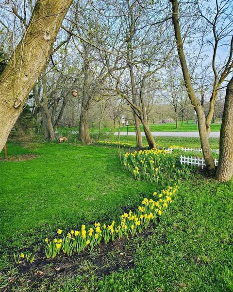 7500 S Solon Rd S, Spring Grove, IL 60081 photo 17