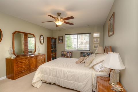 528 Telluride Ct, Bartlett, IL 60103 photo 22