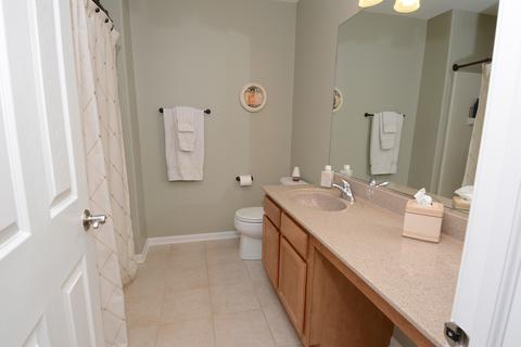 528 Telluride Ct, Bartlett, IL 60103 photo 21