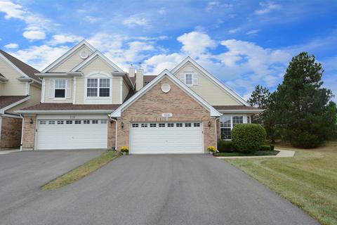 528 Telluride Ct, Bartlett, IL 60103 photo 27