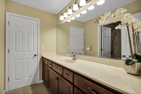 26600 Lindengate Cir, Plainfield, IL 60585 photo 37