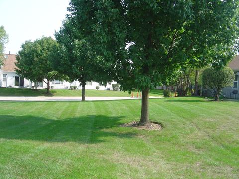 21405 W Juniper Ln, Plainfield, IL 60544 photo 23