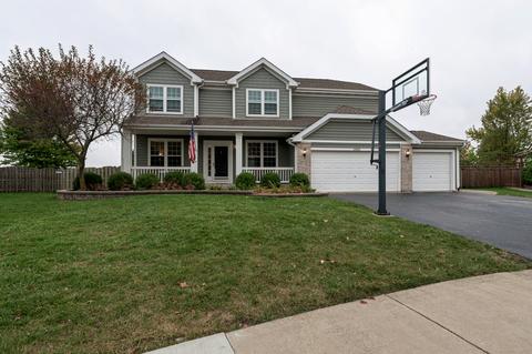 14859 Independence Ct, Plainfield, IL 60544 photo 3