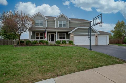 14859 Independence Ct, Plainfield, IL 60544 photo 4