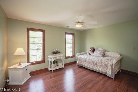 11151 203rd St, Mokena, IL 60448 photo 23