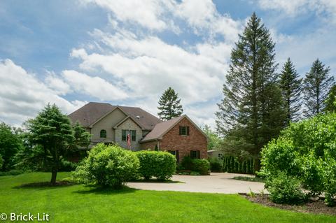 11151 203rd St, Mokena, IL 60448 photo 40