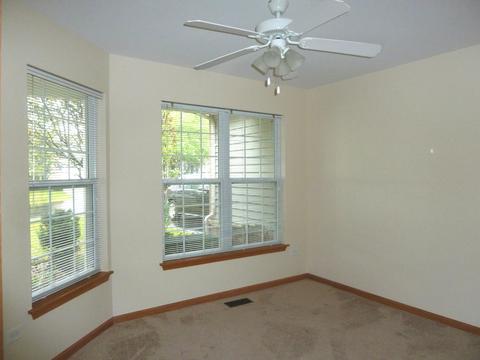 21353 W Silktree Cir, Plainfield, IL 60544 photo 8