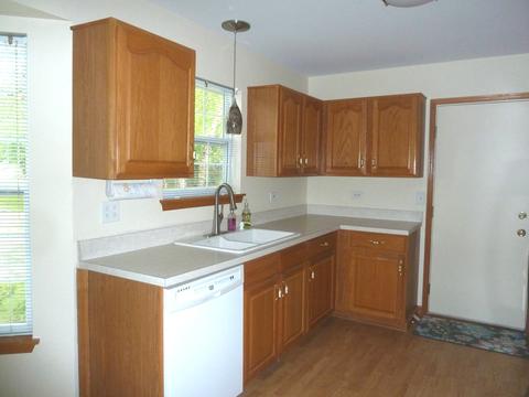 21353 W Silktree Cir, Plainfield, IL 60544 photo 7