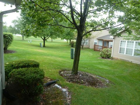 21353 W Silktree Cir, Plainfield, IL 60544 photo 15