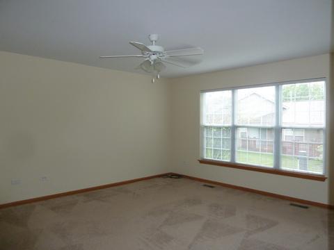 21353 W Silktree Cir, Plainfield, IL 60544 photo 9