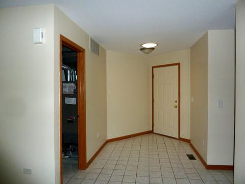 21353 W Silktree Cir, Plainfield, IL 60544 photo 2