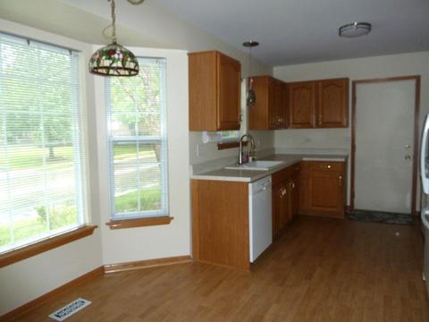 21353 W Silktree Cir, Plainfield, IL 60544 photo 6