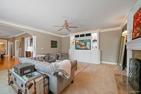 12714 Hawks Bill Ln, Plainfield, IL 60585 photo 8