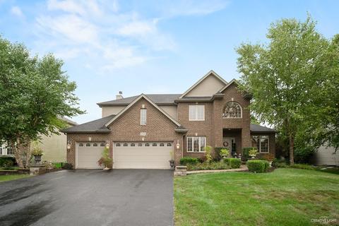 12714 Hawks Bill Ln, Plainfield, IL 60585 photo 1