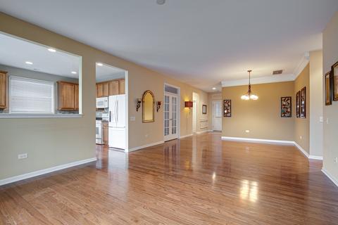 849 Cascade Falls Dr, Elgin, IL 60124 photo 8