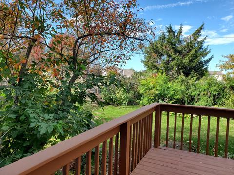 3 Drake Ct, Bloomington, IL 61704 photo 7