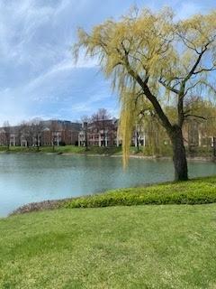 5501 Carriageway Dr #302A, Rolling Meadows, IL 60008 photo 10