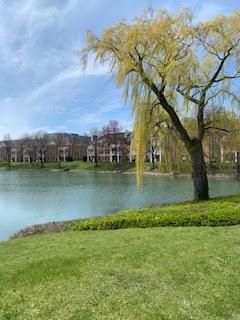 5501 Carriageway Dr #302A, Rolling Meadows, IL 60008 photo 11