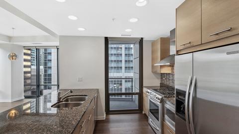 240 E Illinois St #1010, Chicago, IL 60611 photo 7