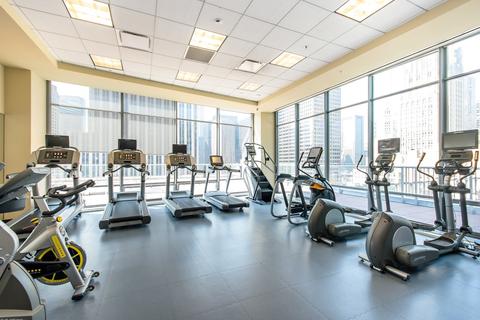 240 E Illinois St #1010, Chicago, IL 60611 photo 21