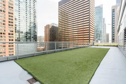 240 E Illinois St #1010, Chicago, IL 60611 photo 24