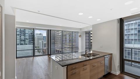 240 E Illinois St #1010, Chicago, IL 60611 photo 8