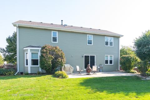 2809 Randall Ridge Dr, Elgin, IL 60124 photo 19