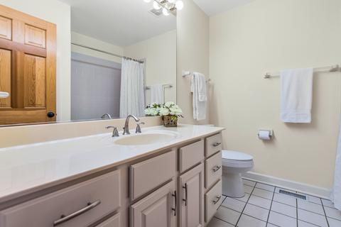 851 Pinegrove Ct, Wheaton, IL 60187 photo 29