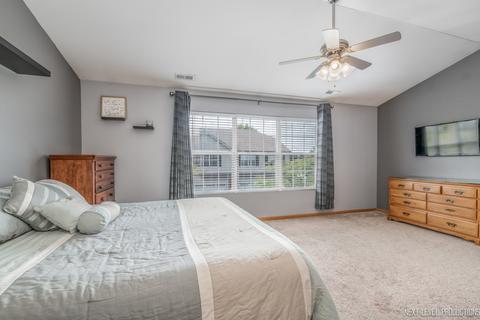 24154 Walnut Cir, Plainfield, IL 60585 photo 14