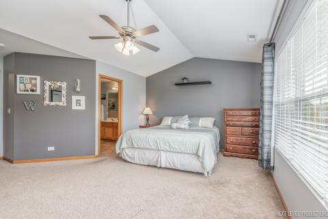 24154 Walnut Cir, Plainfield, IL 60585 photo 12