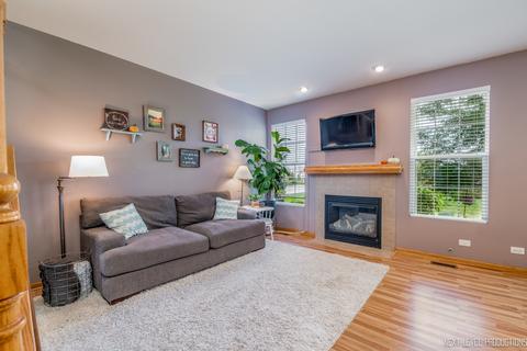 24154 Walnut Cir, Plainfield, IL 60585 photo 4