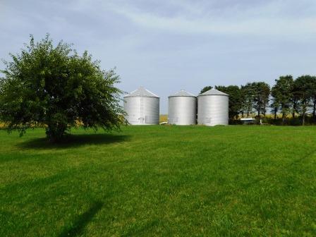 28545 E 00 North Rd, Strawn, IL 61775 photo 24