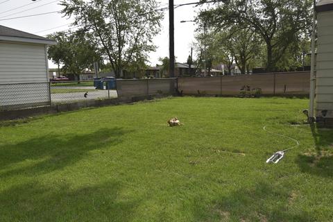 15057 Ridgeway Ave, Midlothian, IL 60445 photo 29