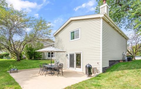 717 Ascot Ct, Hoffman Estates, IL 60169 photo 29