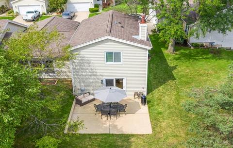 717 Ascot Ct, Hoffman Estates, IL 60169 photo 4