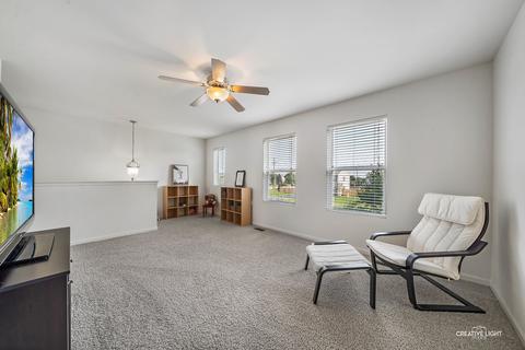 14310 Meadow Ln, Plainfield, IL 60544 photo 9