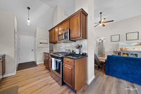 25540 W Gateway Cir, Plainfield, IL 60585 photo 6