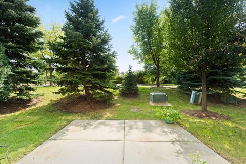 9 Riverdale Ct, Algonquin, IL 60102 photo 26