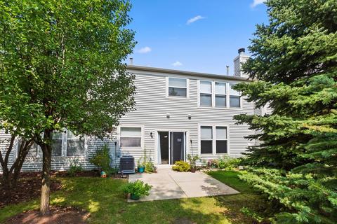 9 Riverdale Ct, Algonquin, IL 60102 photo 25