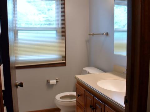 685 Randi Ln, Hoffman Estates, IL 60169 photo 15