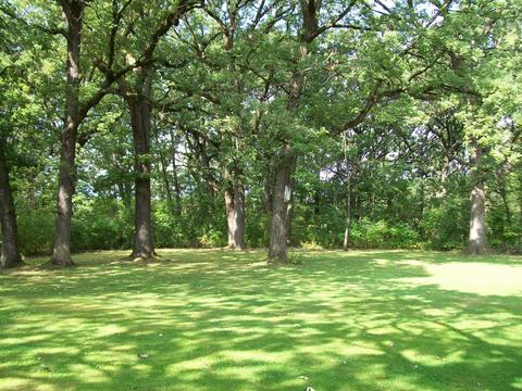 1805 Richton Rd, Steger, IL 60475 photo 19