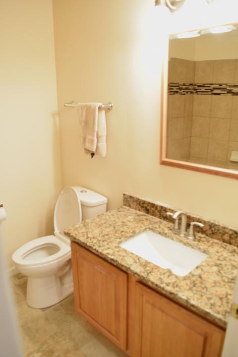 4420 Thornbark Dr, Hoffman Estates, IL 60192 photo 20