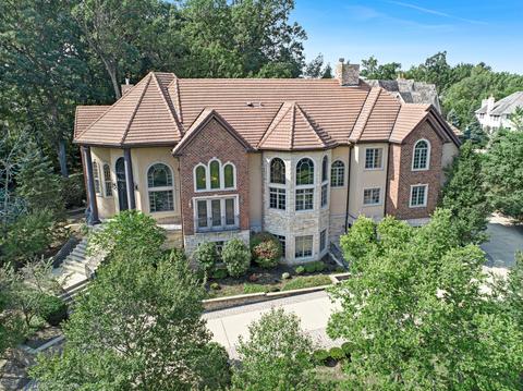 9286 Falling Waters E Dr, Burr Ridge, IL 60527 photo 1
